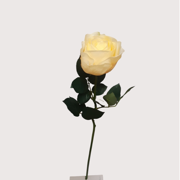 Róża, 75 cm, żółty, kod: 264060