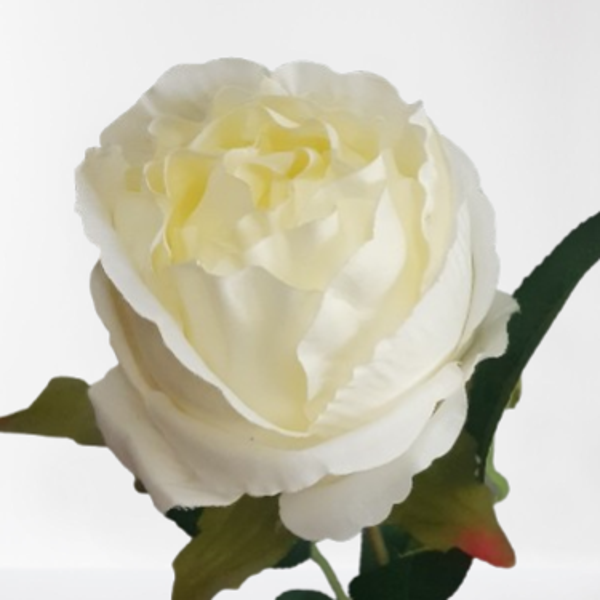 Róża gałązka z liśćmi, 56 cm, biała, kod: 0000