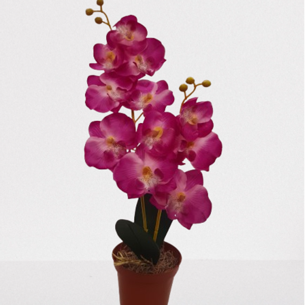 Storczyk Phalaenopsis, satyna 50 cm, kod: 61006