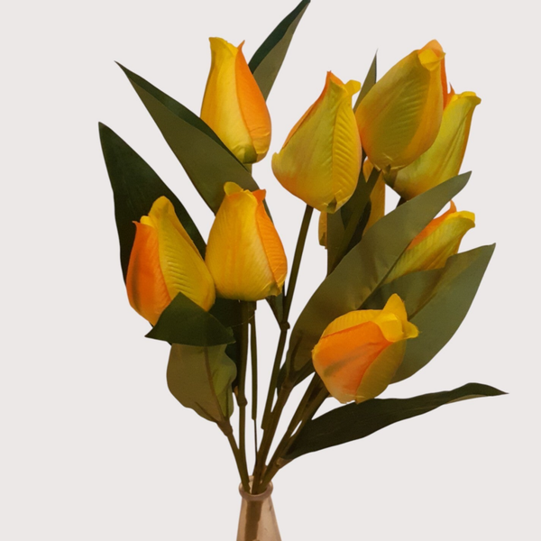 Tulipan – bukiet 9 kwiatów 48 cm, żółto zielony, kod: 2209