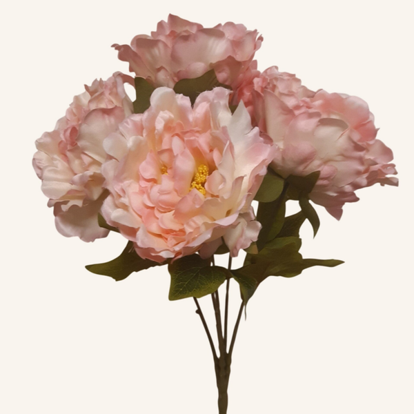 Peonia – bukiet, 45 cm, róż, kod: 202204