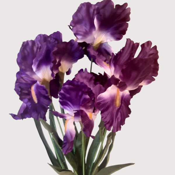 Irys – bukiet 7 kwiatów z liśćmi 60 cm, ciemny fiolet, kod: 8192