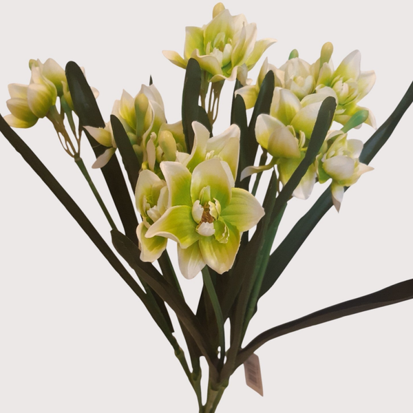 Narcyz – bukiet 7 gałązek 58 cm, biało zielony, kod: 8189