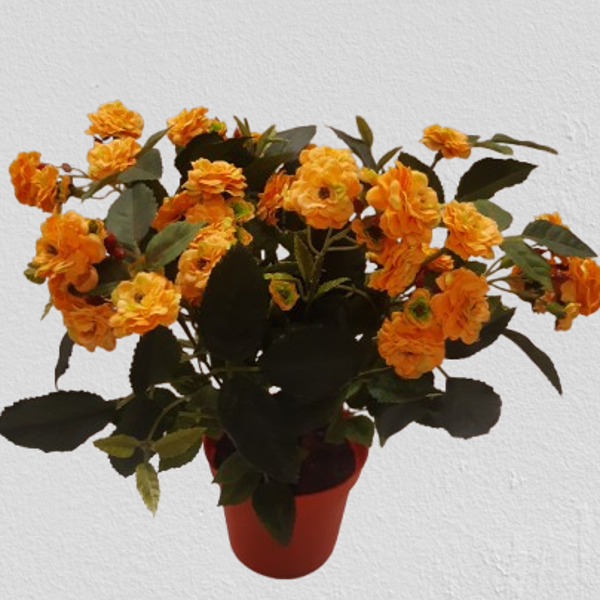 Roża perłowa 28 cm, kod: 8071