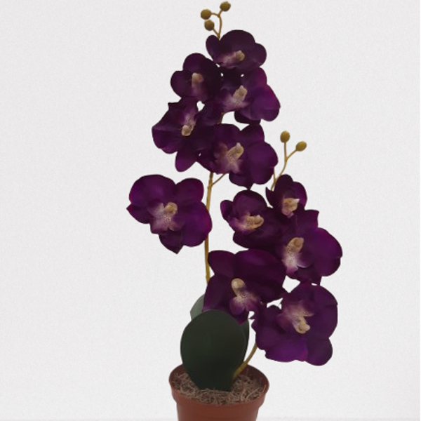 Storczyk Phalaenopsis, satyna 50 cm, fiolet, kod: 61006