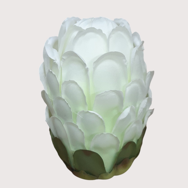 Karczoch wyrobowy, 12 cm, biało-zielony, opakowanie 6 szt., kod: 7048