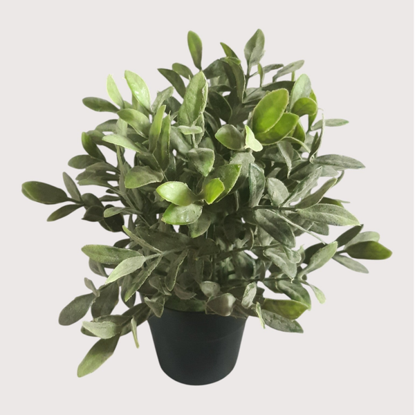 Zielony krzaczek w doniczce, 23 cm, kod: 4849