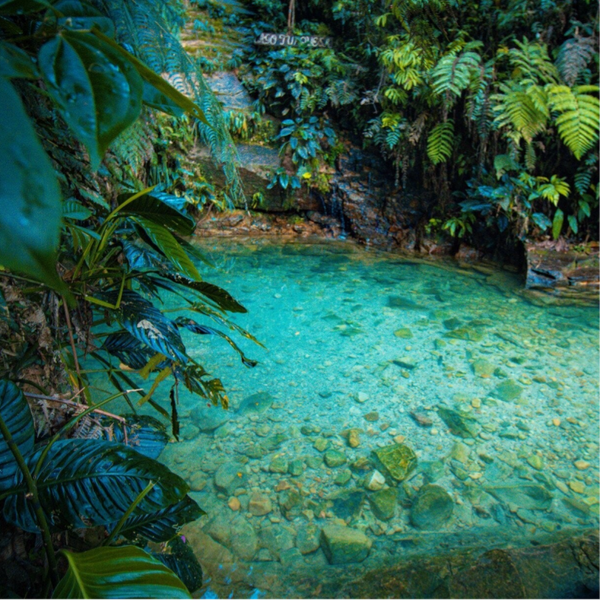 PAQUETE TARAPOTO 6 DIAS Y 5 NOCHES CON UNA NOCHE EN LA LAGUNA