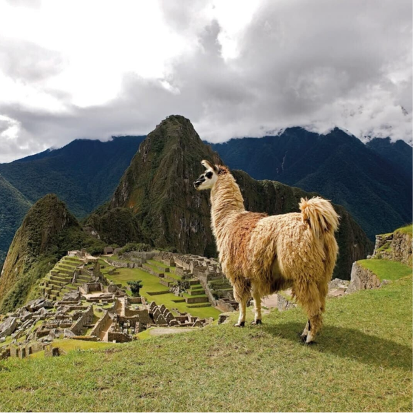MACHUPICCHU FULL DAY