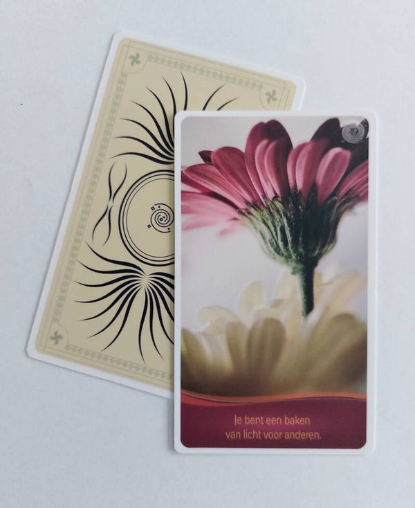 Flower Wisdom kaarten