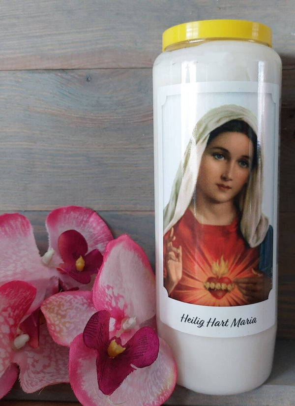 Noveenkaars Heilige Maria
