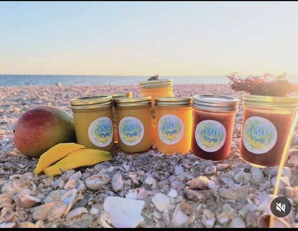 Small Classic Gold/Purple/ALL FLAVORS