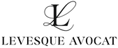 Maître Louise LEVESQUE | Avocat en droit pénal à Paris