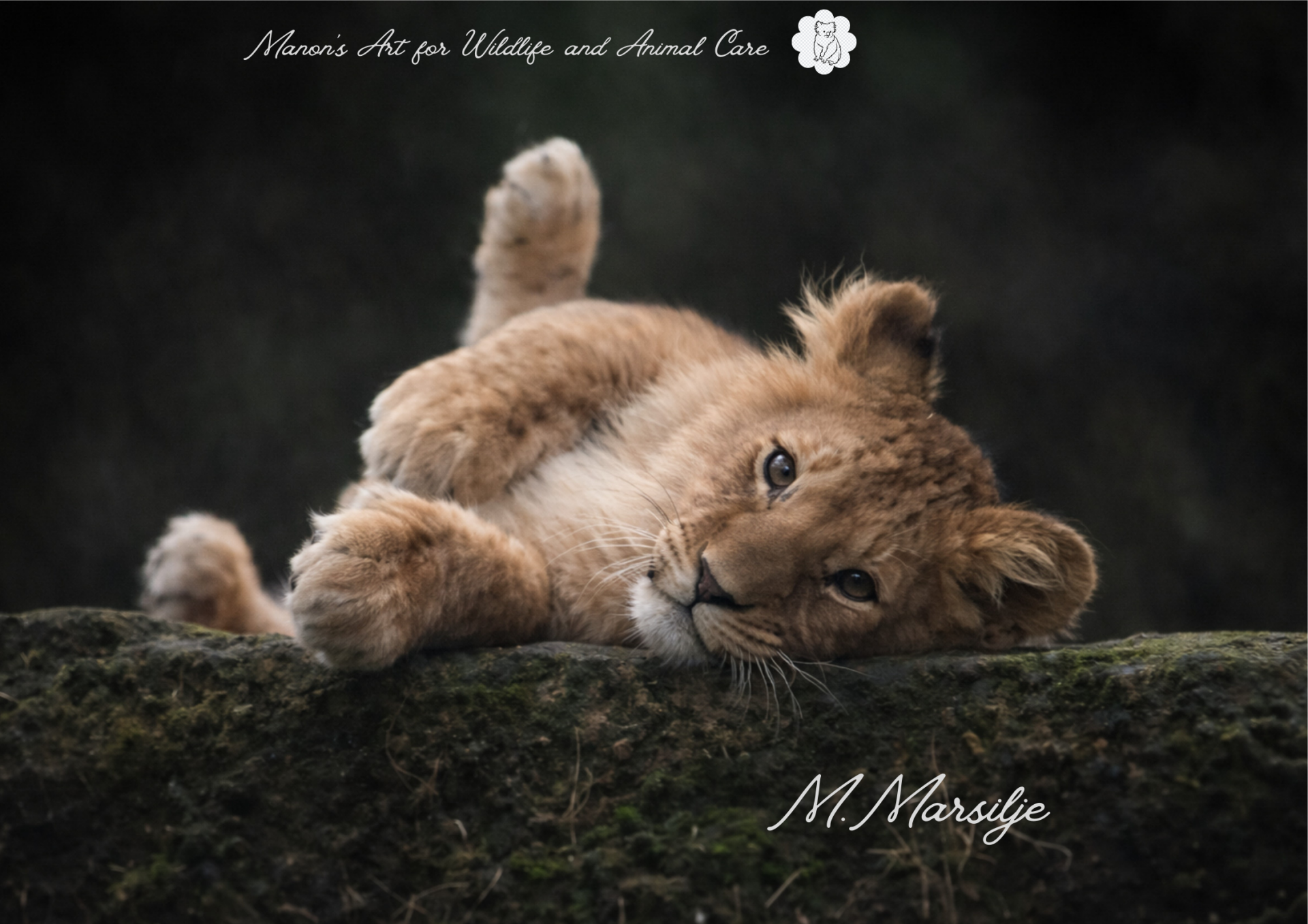 Pure nieuwsgierigheid in één blik