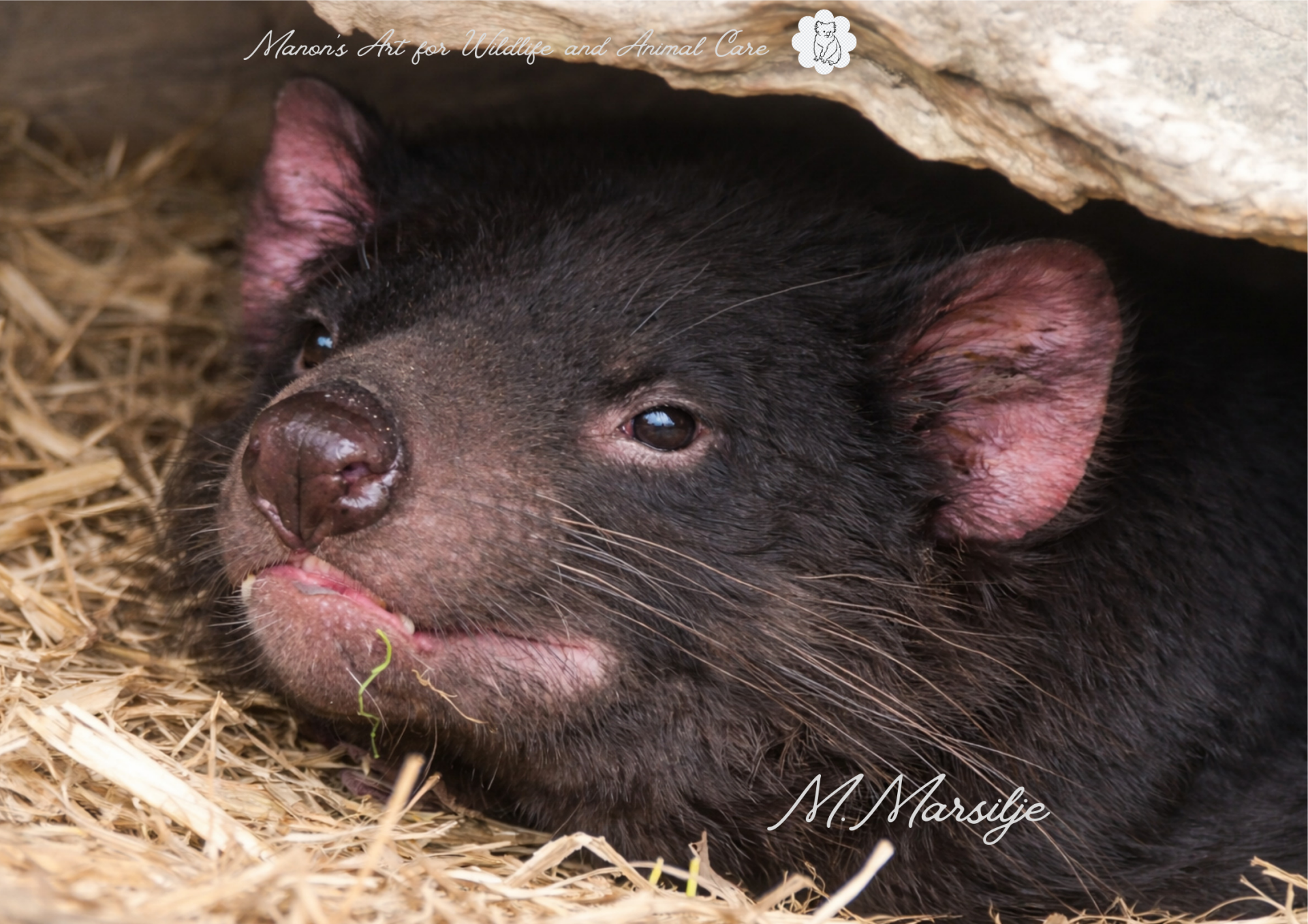 De stille kracht van een icoon