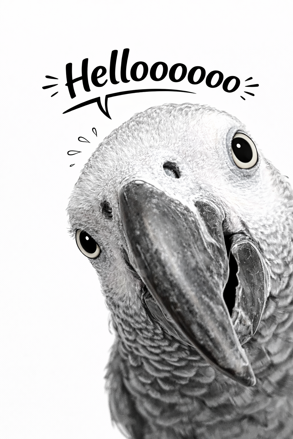 Helloooooo (nog niet op voorraad)