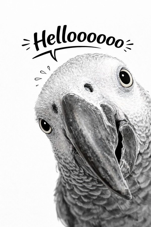 Helloooooo (nog niet op voorraad)