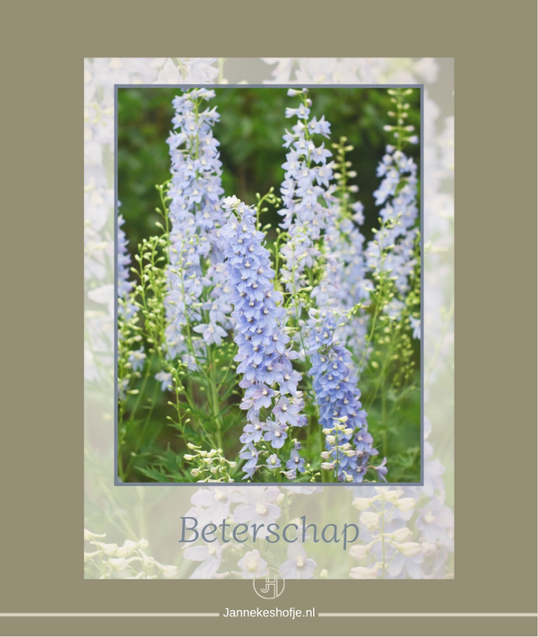Beterschap 351