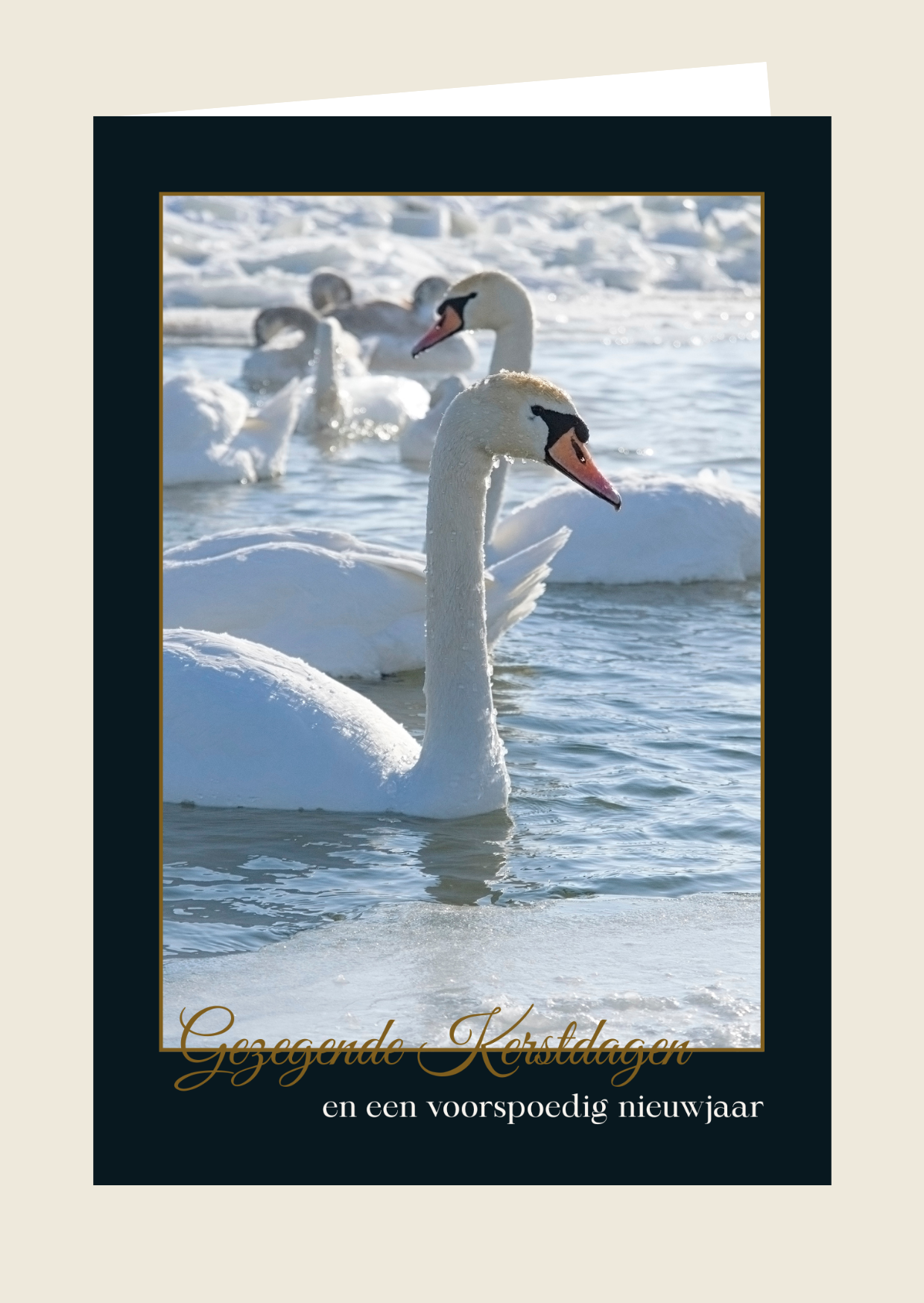 Kerstkaart 2 'Gezegende kerstdagen'