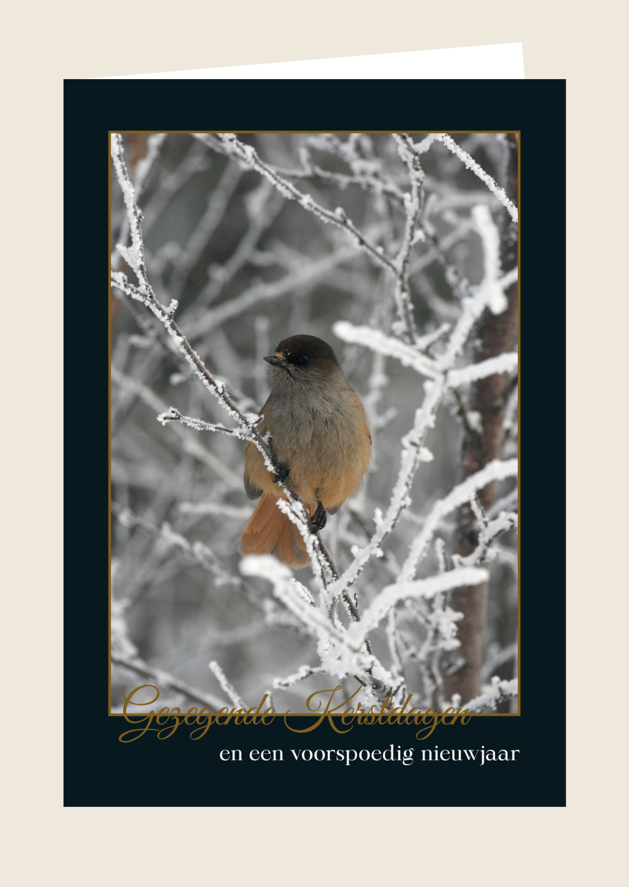 Kerstkaart 4 'Gezegende kerstdagen'
