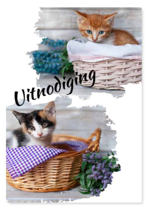 Uitnodiging 17