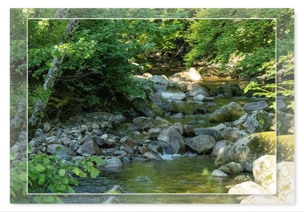 Natuur 5