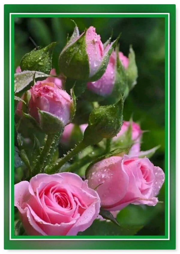 Bloemen 31