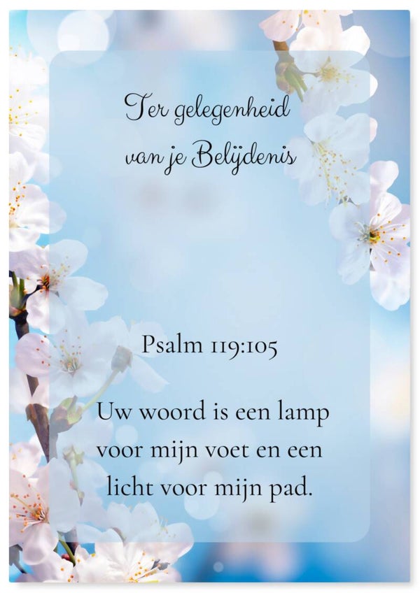 Belijdenis 8