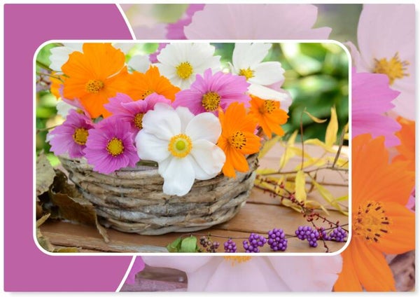 Bloemen 20 B