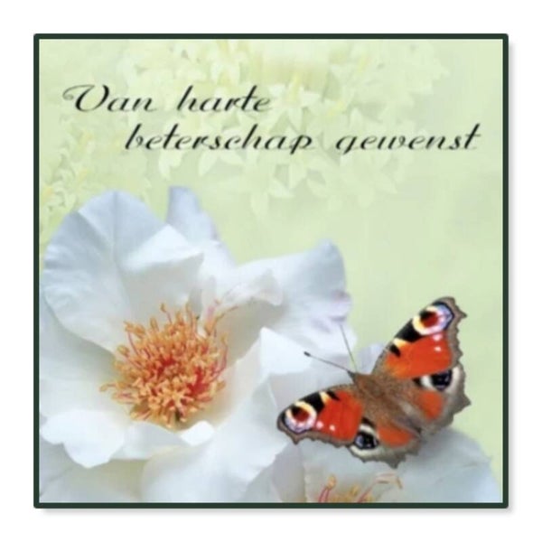Beterschap 76