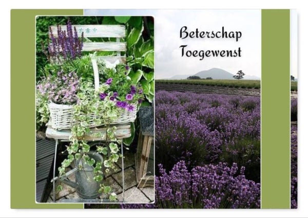 Beterschap 8