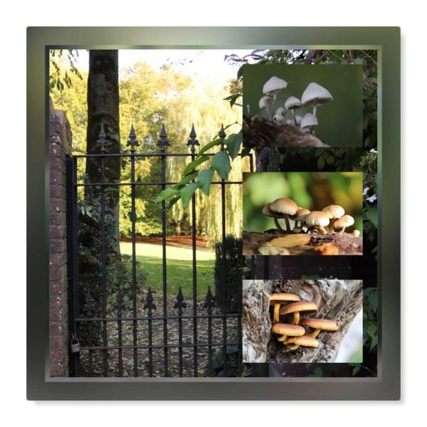 Natuur 68