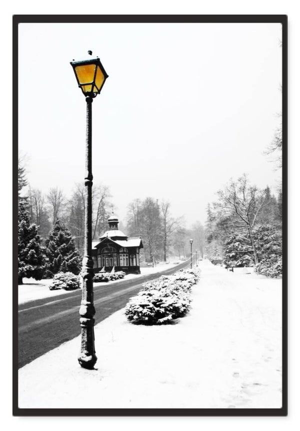 Winter 50