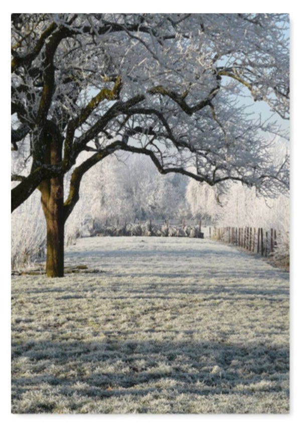 Winter 44