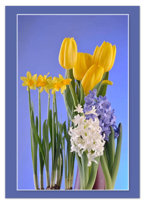 Bloemen 54