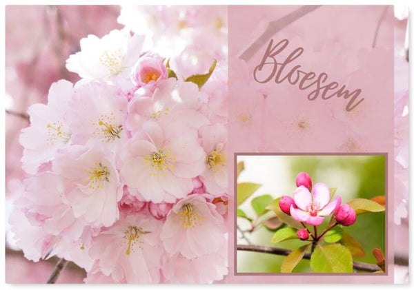 Bloemen 15