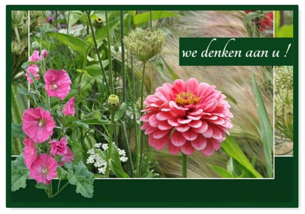 Kaart met tekst 3