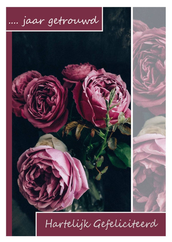 Felicitatie Jubileum 43