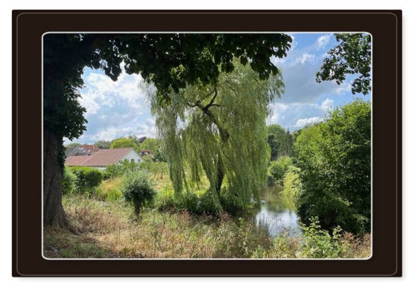Natuur 16
