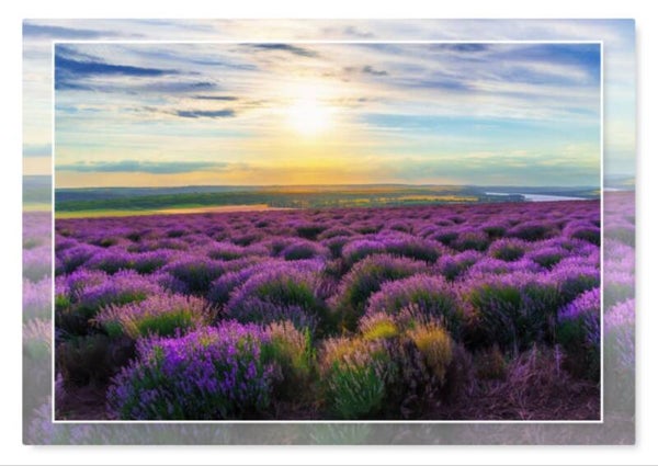 Natuur 34
