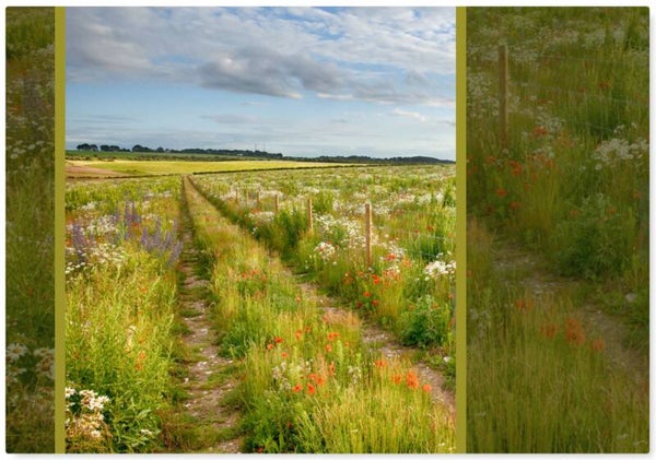 Natuur 1
