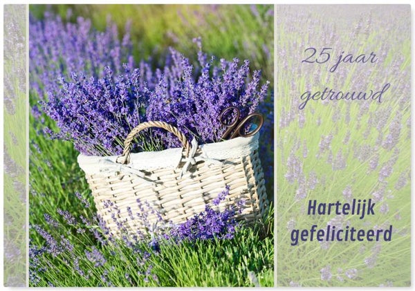 Jubileum 7