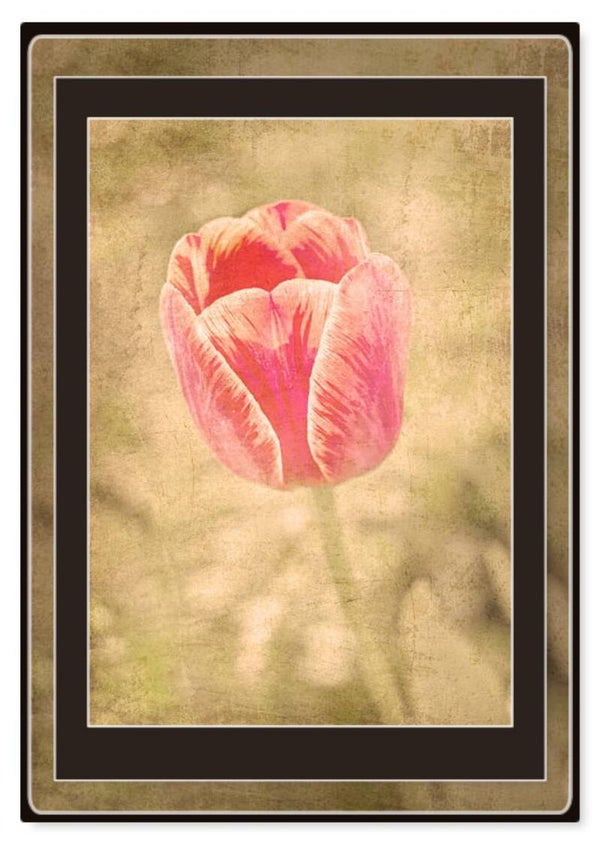 Bloemen 41