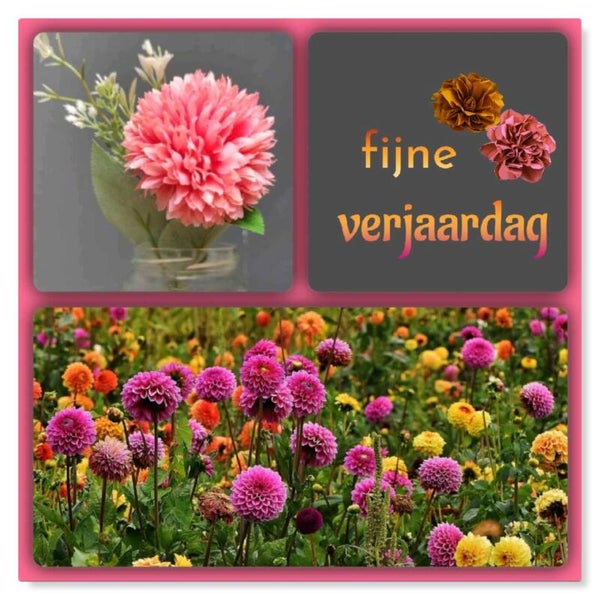 Felicitatie 42