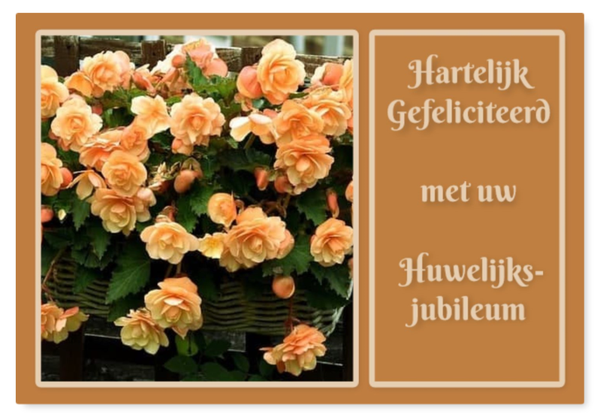 Felicitatie Jubileum 14
