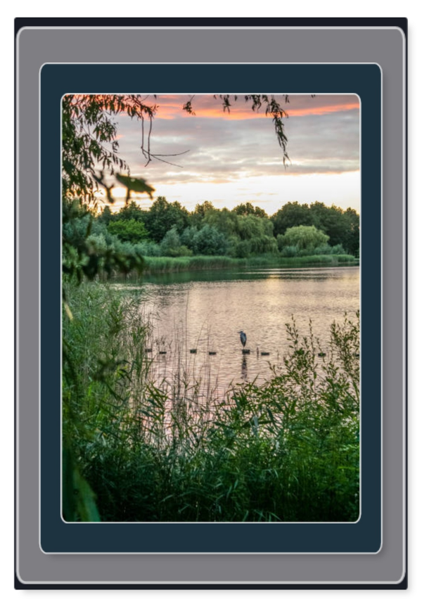 Natuur 54