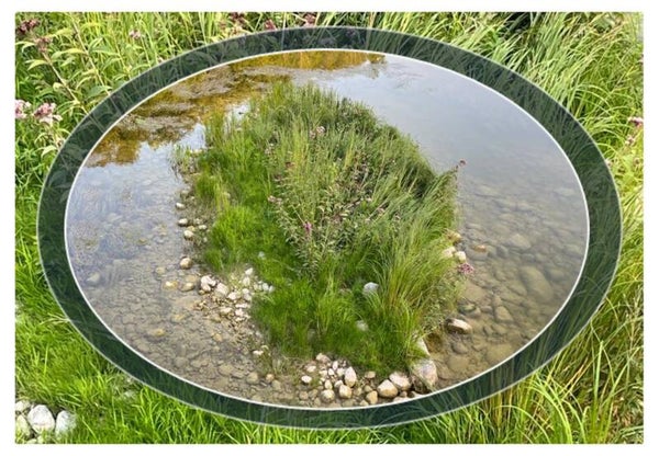 Natuur 42