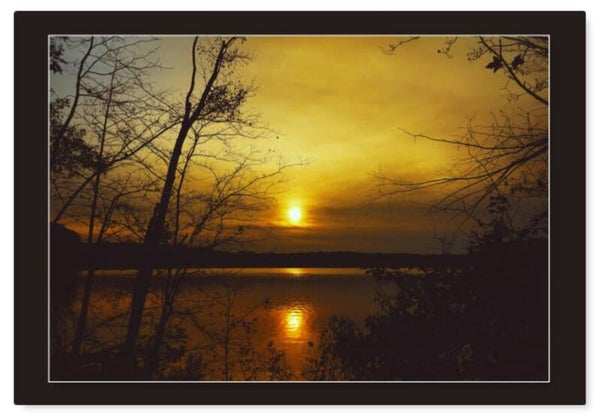 Natuur 46