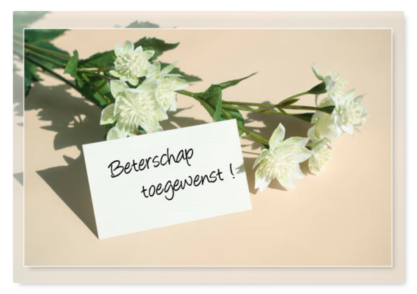 Beterschap 12