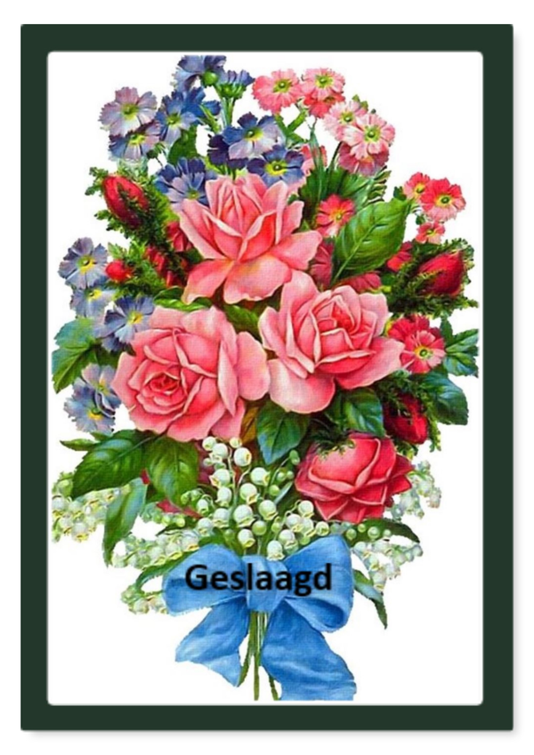 Geslaagd 40